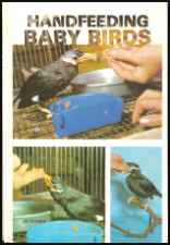 Handfeeding Baby Birds